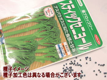 XebNZj[