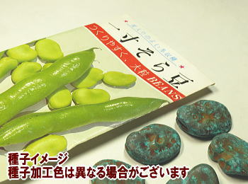 ꐡ瓤