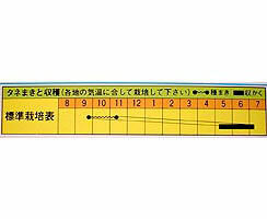 ꐡ瓤