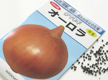 zI[ʔK