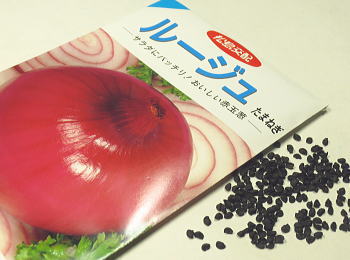 z[WʔK