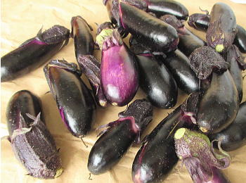 Ȃo
