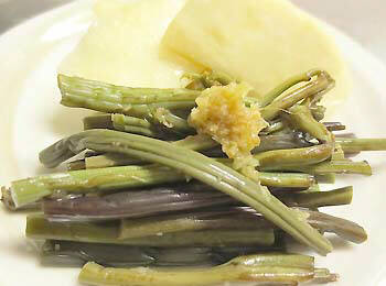 IƂݖ̂ш{Ђ