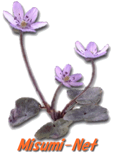 ���c���}���`���f�B�A�T�[�N���y�l�����������|�m�����z