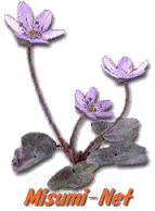 ���c���}���`���f�B�A�T�[�N���y�l�����������|�m�����z