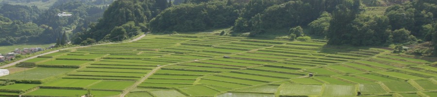 営農の画像