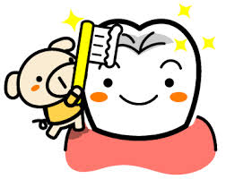 ブタ歯磨き