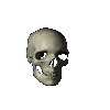 骸骨
