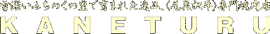 KANETURU
